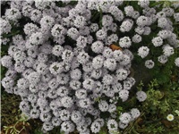 e1711d89-Picture 018.jpg